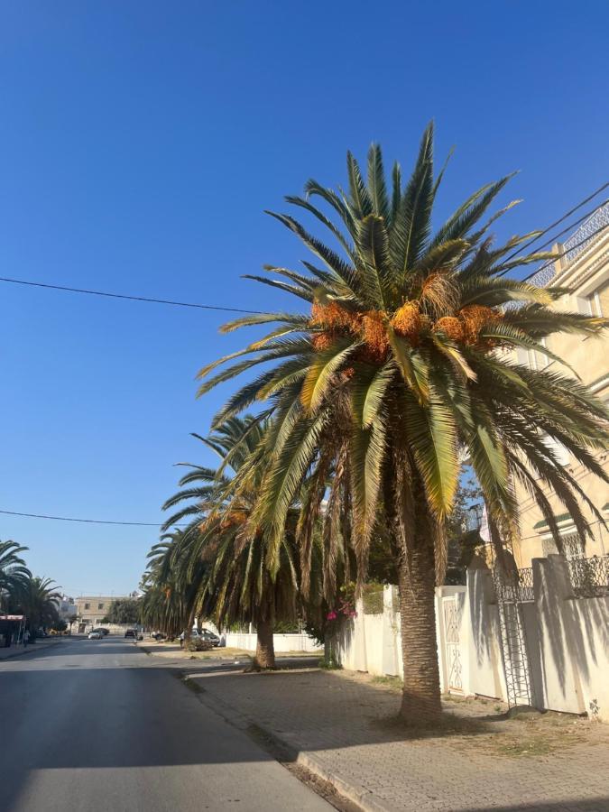 Sublime Duplex Au Bardo Tunis Leilighet Le Bardo Eksteriør bilde